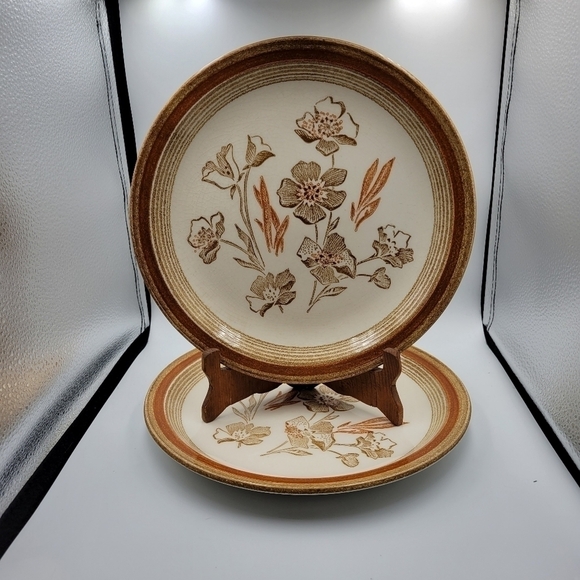 Vintage Jamestown China Ironstone Dinner Plates - set of 2 - Picture 1 of 4